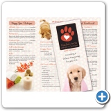 Dog Spa Brochure
